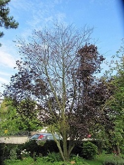 IMG_4845b.jpg