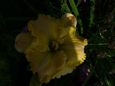 P1020880neu.JPG