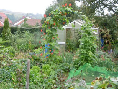 Nutzgarten_07.09.14.JPG