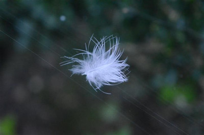 D0718_Small.JPG