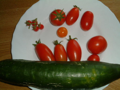 2004_0720_175437AA.JPG
