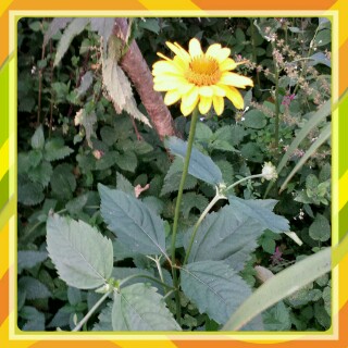 20140907_220627-320x320.jpg