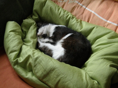 P9085168sg.JPG