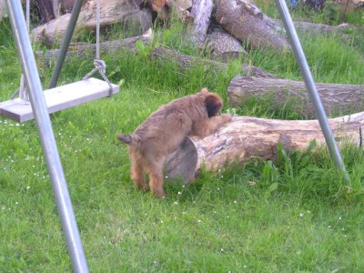 Garten09.JPG