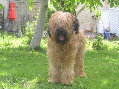 Garten_Juli_05_-04.JPG