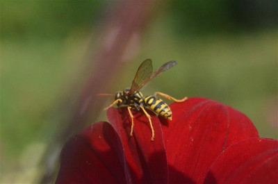 D0852_Small.JPG