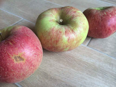 apfel_2_boeder.jpg