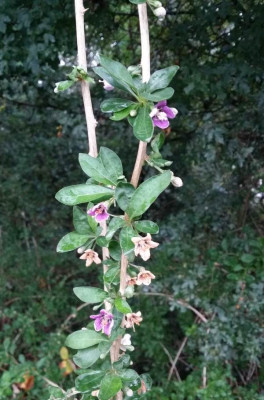 20140911_075749x.jpg