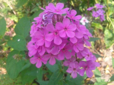 2014-09-13_15_40_24.jpg