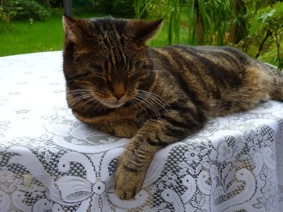 liese01f.jpg