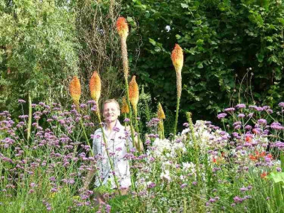 Kniphofia_uvaria_Nobilis.jpg