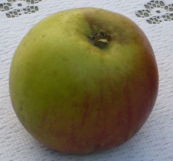 apfel01f.jpg