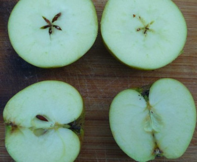 apfel03f.jpg