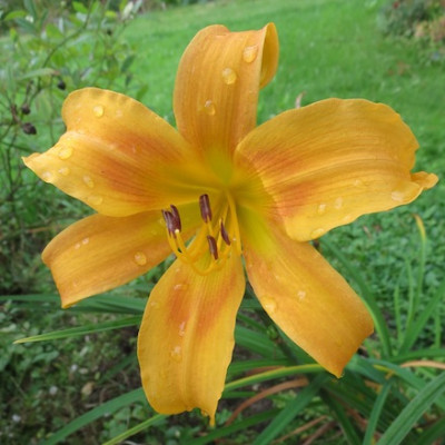 GT11-GA8a09_1589.jpg