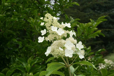 verkleinert-022b.jpg