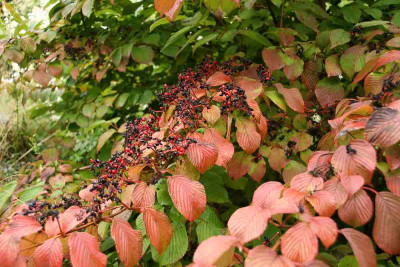 verkleinert-024a.jpg
