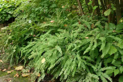 verkleinert-044.jpg