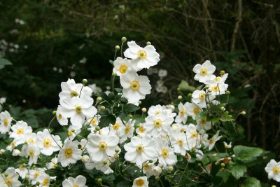verkleinert-049a.jpg