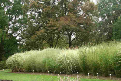 verkleinert-057b.jpg