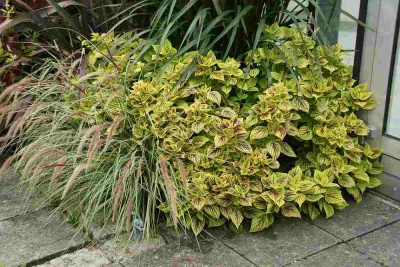 verkleinert-005a.jpg