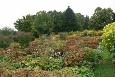 verkleinert-097b.jpg