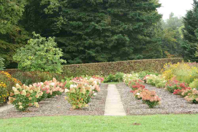 verkleinert-106d.jpg