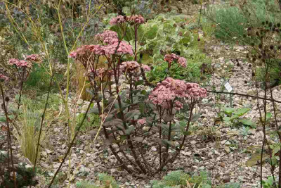 verkleinert-156d.jpg