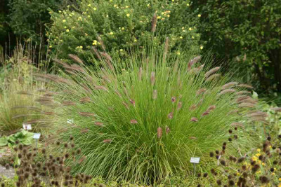 verkleinert-163b.jpg