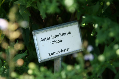 verkleinert-193c.jpg
