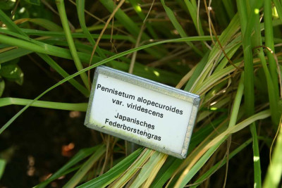 verkleinert-218b.jpg