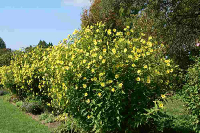 verkleinert-224a.jpg