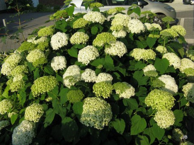 image8.jpg