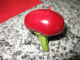 _0000-00-00_0158.jpg