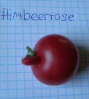 Tomate_Himbeerrose_a.jpg