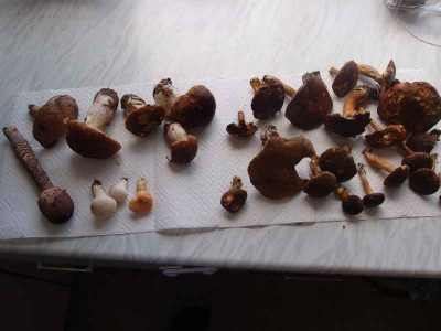 1essen011014.jpg