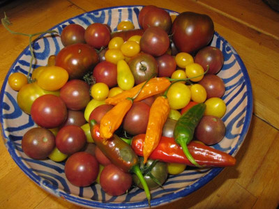 Tomatenschale_141001.jpg