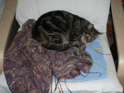 liese04f.jpg