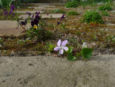 tg_140401_07.jpg