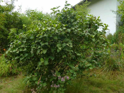 Unbekannt_3_2014.jpg