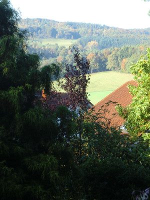 roter-baum.jpg