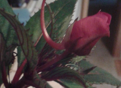 20141027_110529.jpg