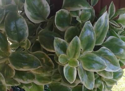 20141022_124911.jpg
