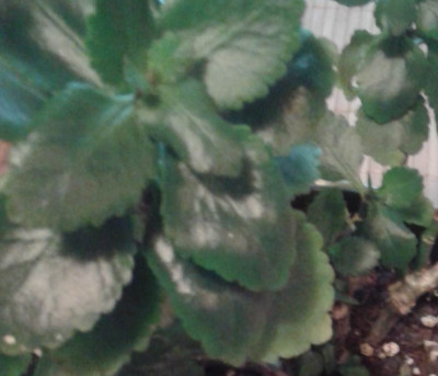20141027_110704.jpg