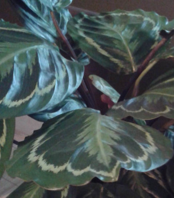 20141024_103408.jpg