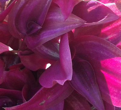 20141022_125017.jpg