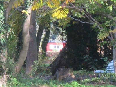 Guckloch_2.11.14_ue.jpg
