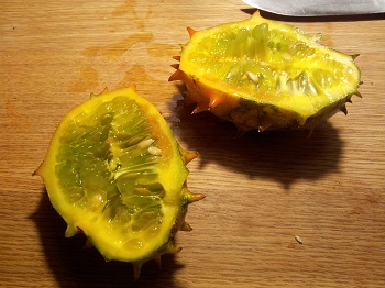 20141102_101115c.jpg