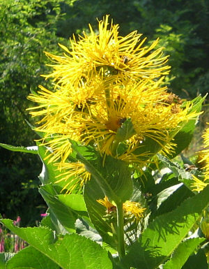 2005072703.jpg