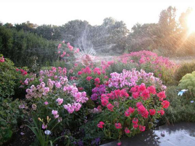 Gartenbewaesserung.jpg