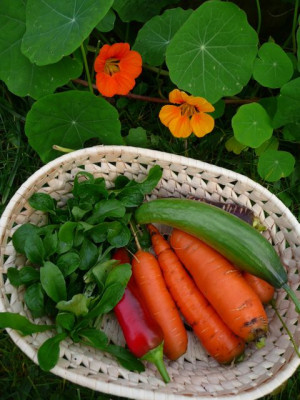 ernte_141112.jpg